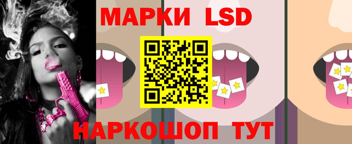 Галлюциногенные грибы Реутов